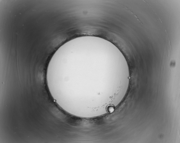 X0000102780305200808251122