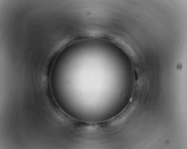 X0000102780306200808251122