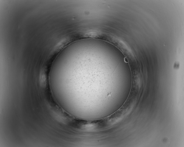 X0000102780312200808251122