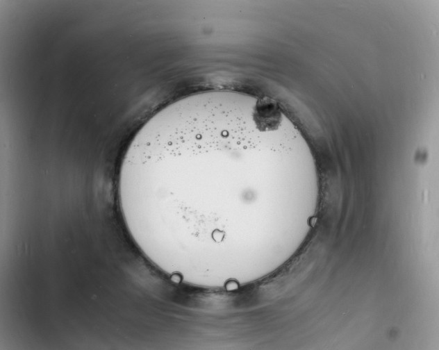 X0000102780313200808251122