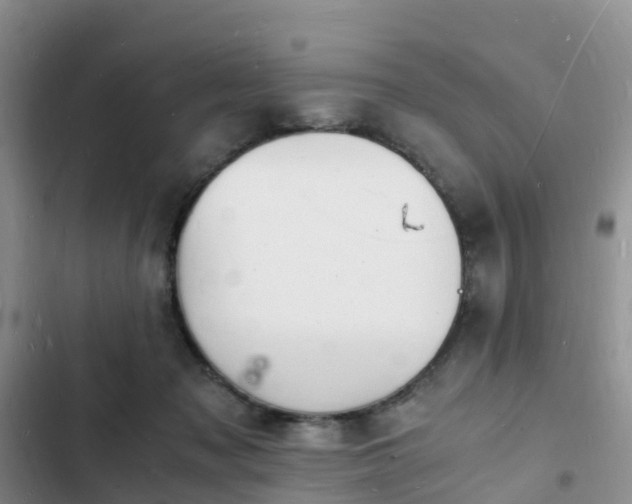 X0000102780317200808251122