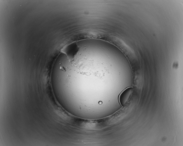 X0000102780318200808251122