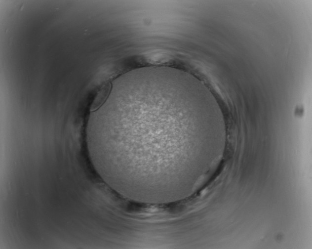 X0000102780319200808251122