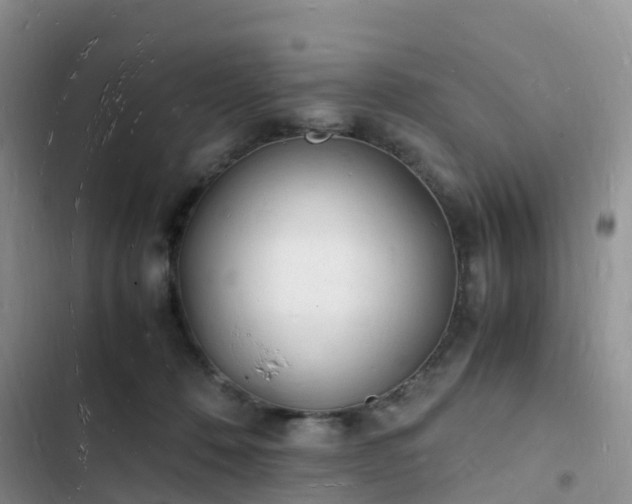 X0000102780320200808251122