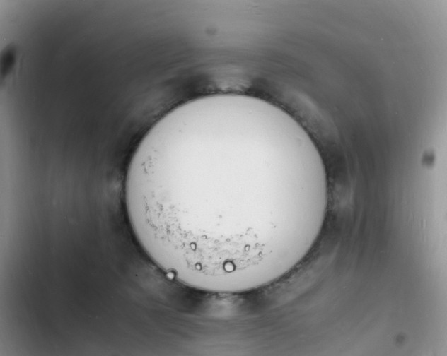 X0000102780321200808251122