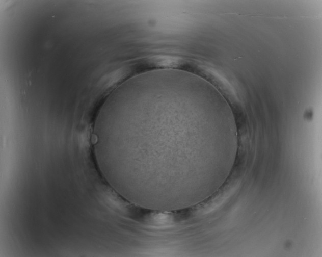 X0000102780325200808251122