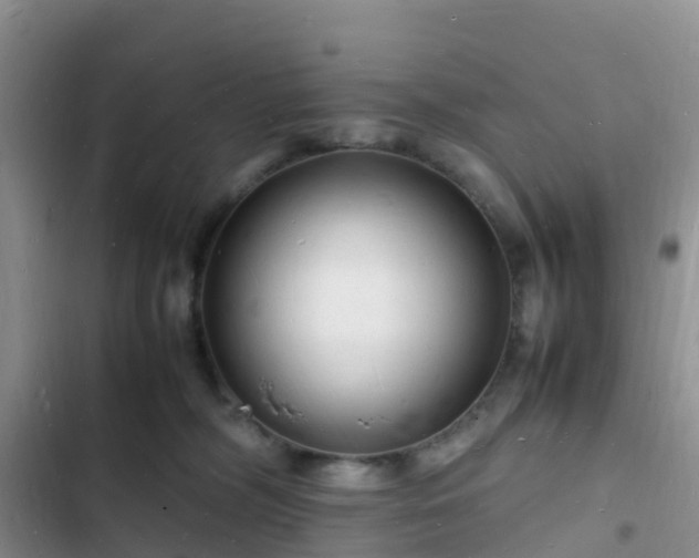 X0000102780326200808251122