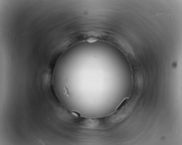 X0000102780328200808251122