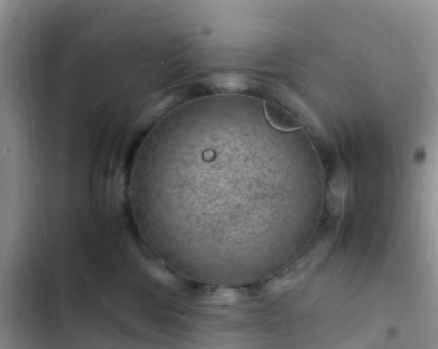 X0000102780330200808251122