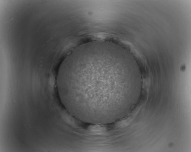 X0000102780331200808251122