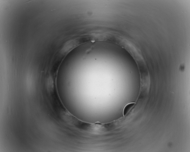 X0000102780333200808251122