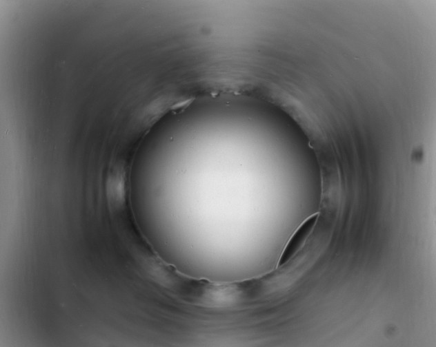 X0000102780334200808251122