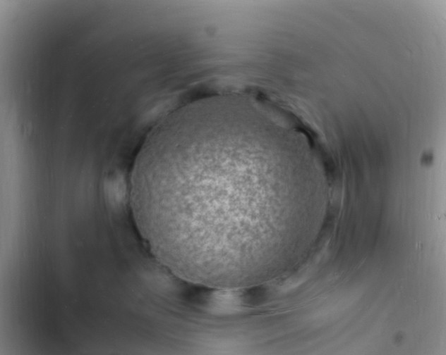 X0000102780335200808251122