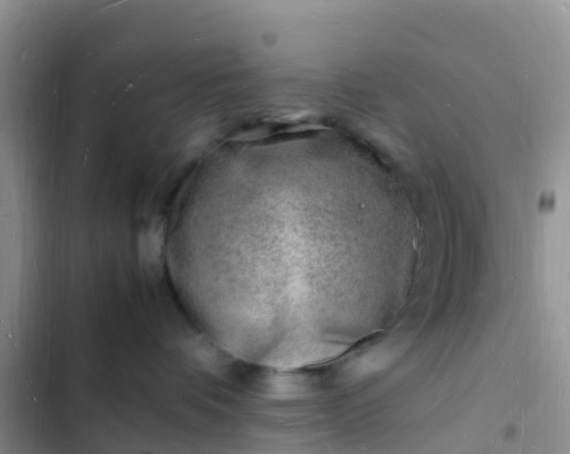 X0000102780336200808251122