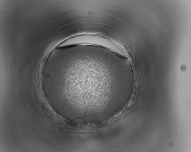 X0000102780337200808251121