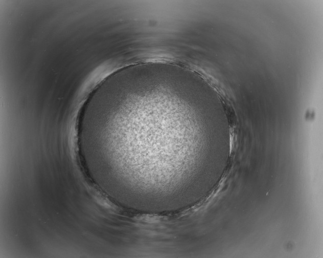 X0000102780339200808251121