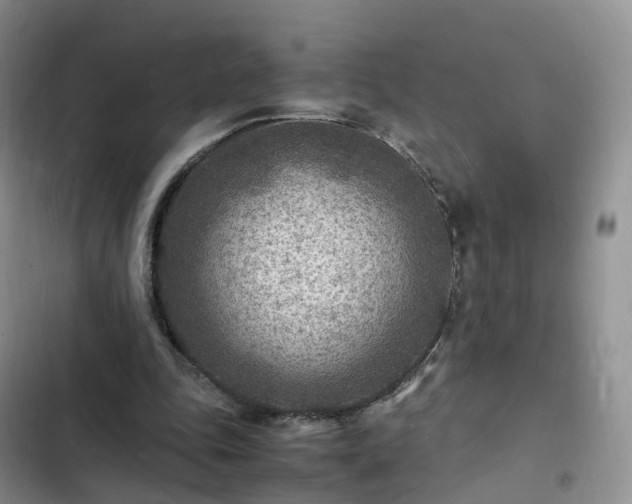 X0000102780343200808251121