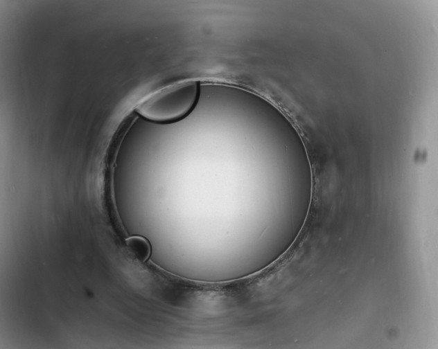 X0000102780344200808251121