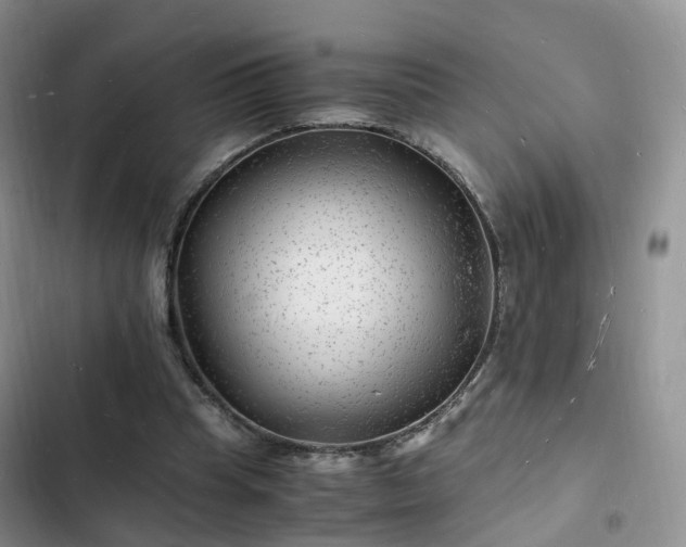 X0000102780345200808251121