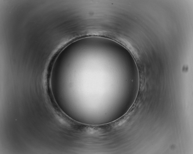 X0000102780346200808251121