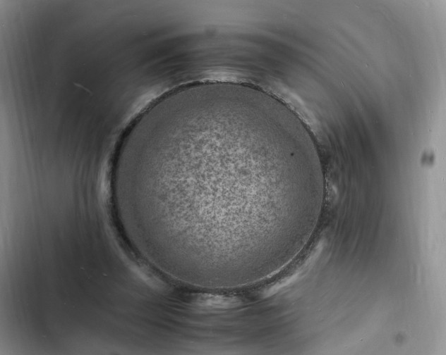 X0000102780347200808251121