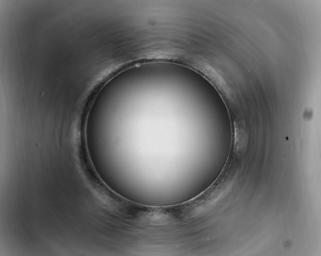 X0000102780348200808251121