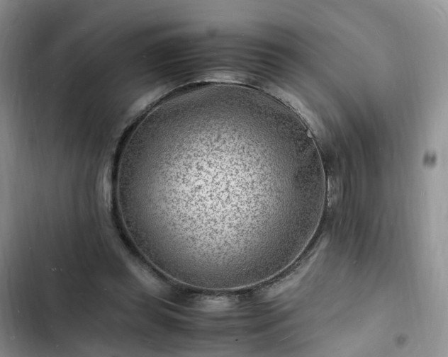 X0000102780349200808251121