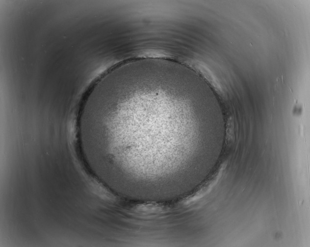 X0000102780351200808251121