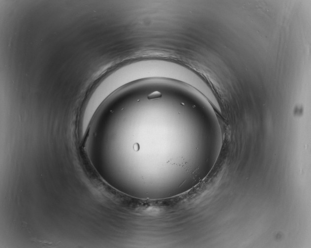 X0000102780352200808251121