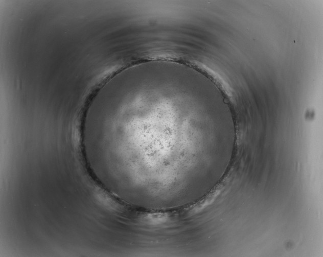 X0000102780353200808251121