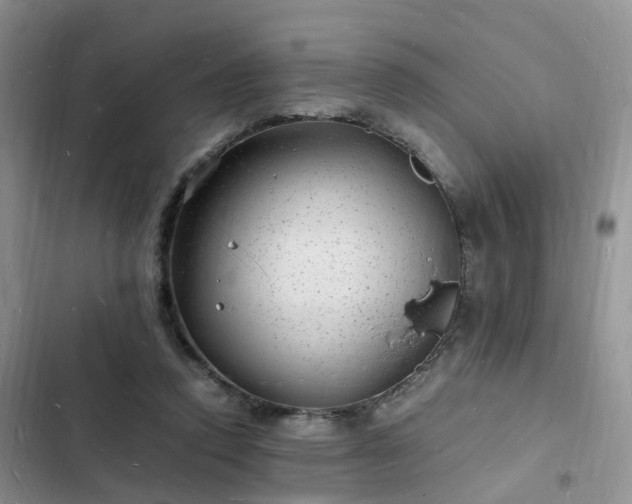 X0000102780354200808251121