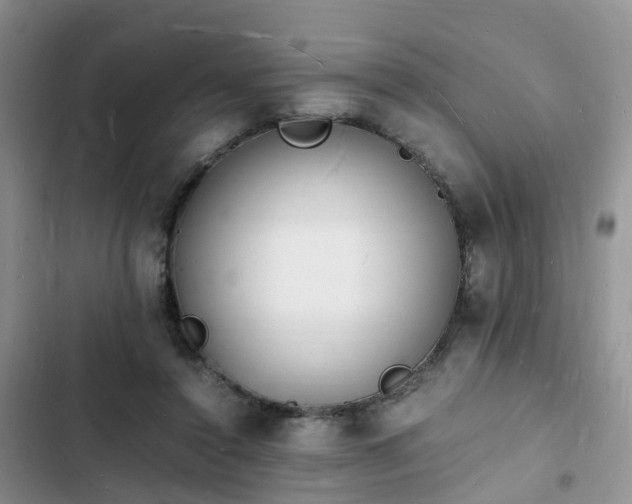 X0000102780356200808251121