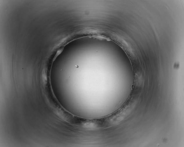 X0000102780358200808251121