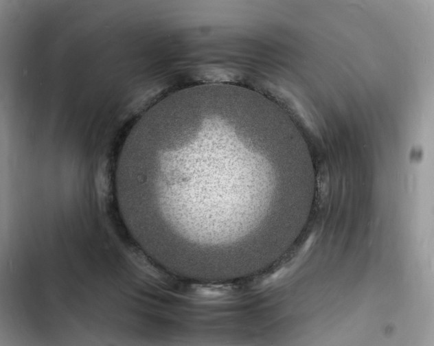 X0000102780359200808251121