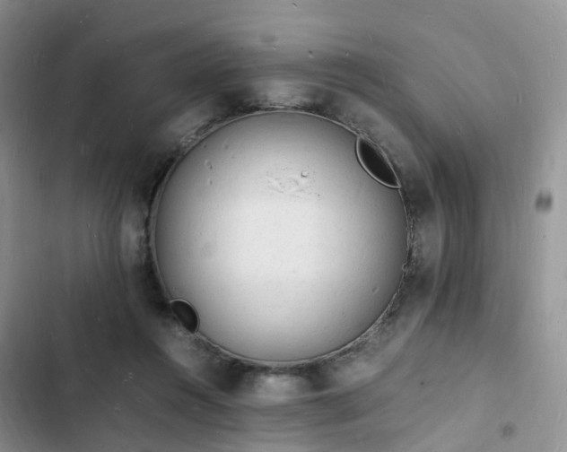 X0000102780360200808251121