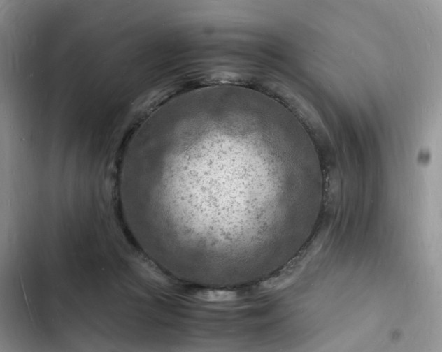 X0000102780361200808251121