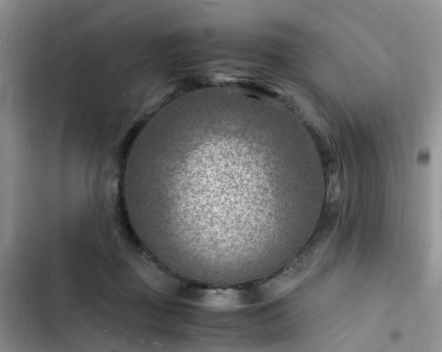 X0000102780363200808251121