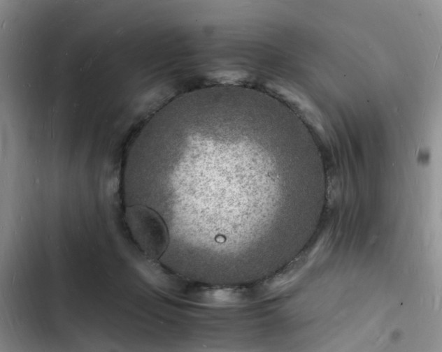 X0000102780365200808251121