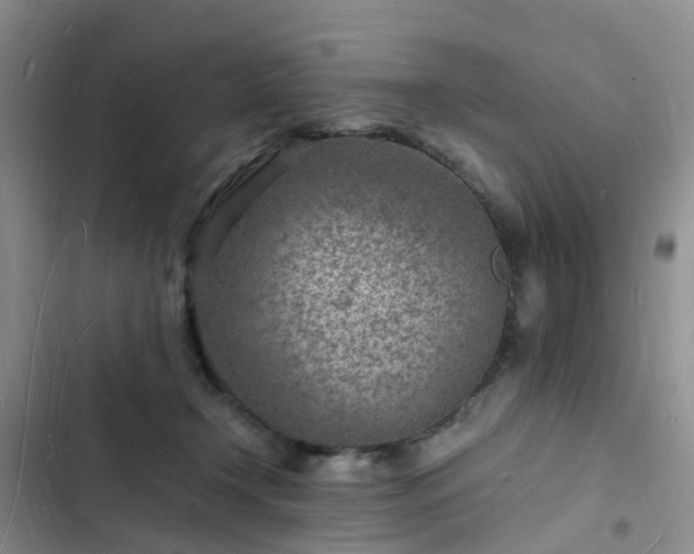 X0000102780366200808251121