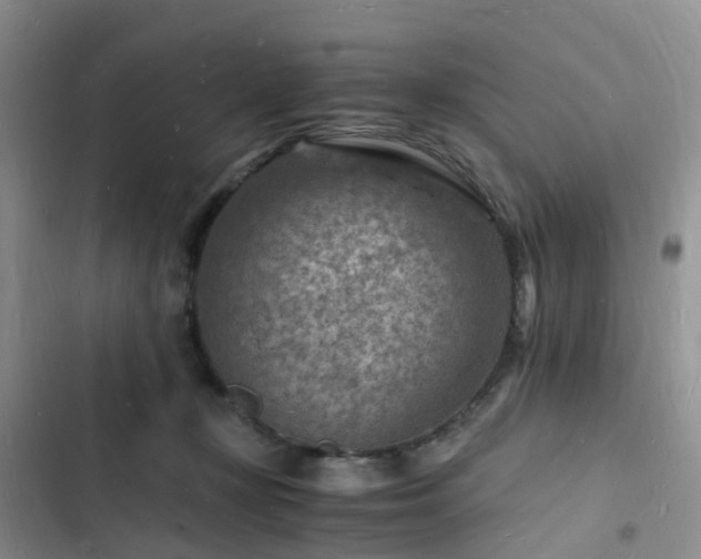 X0000102780367200808251121