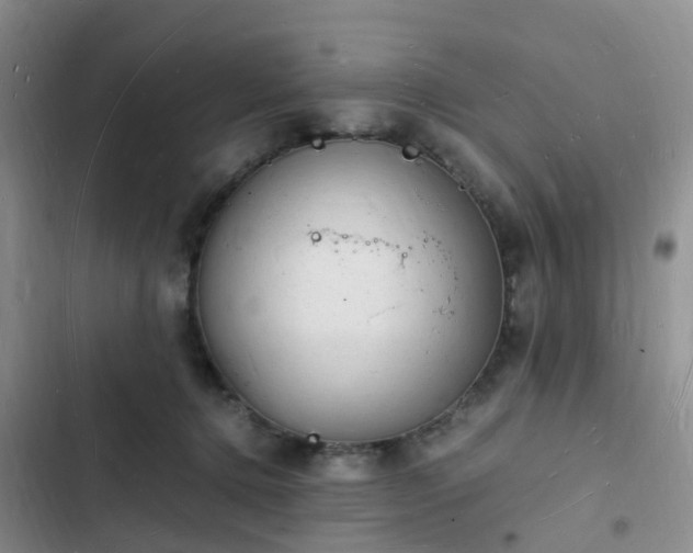 X0000102780368200808251121