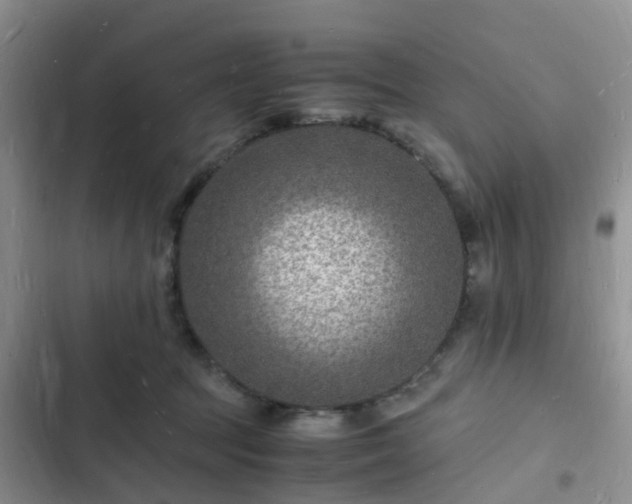 X0000102780369200808251121