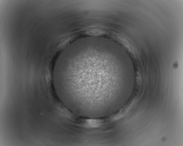 X0000102780371200808251121