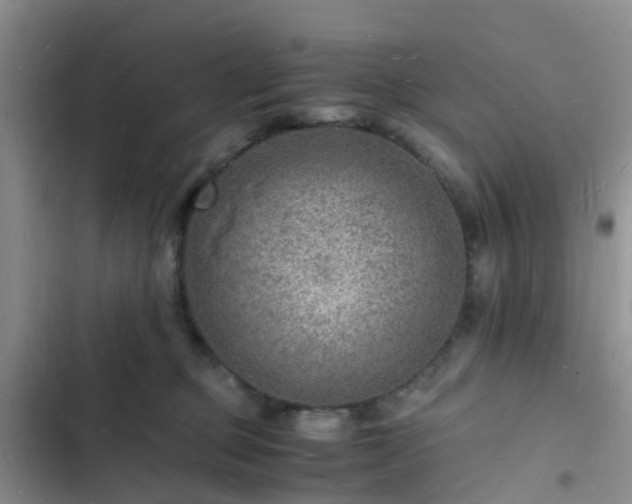 X0000102780373200808251121