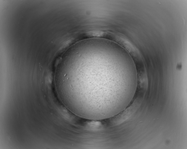 X0000102780374200808251121