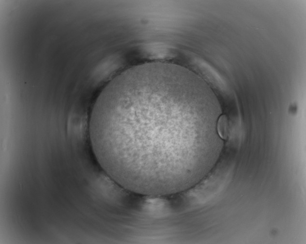 X0000102780376200808251121