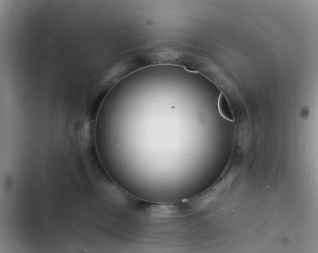 X0000102780378200808251121