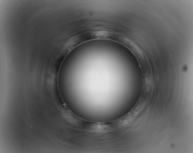 X0000102780379200808251121