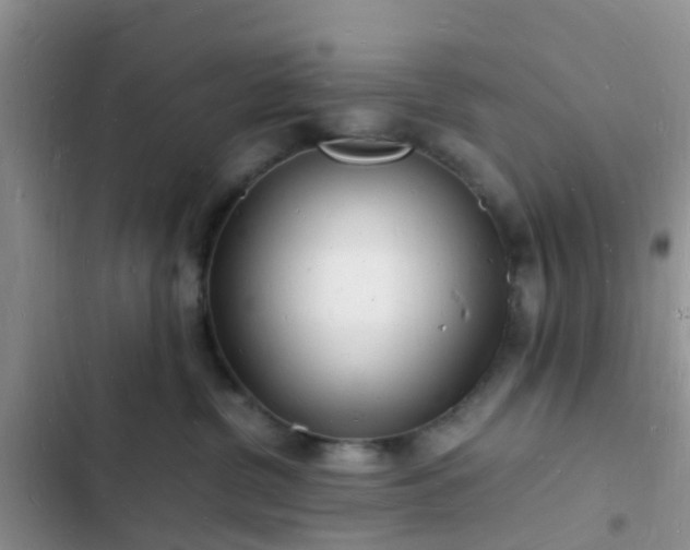 X0000102780380200808251121