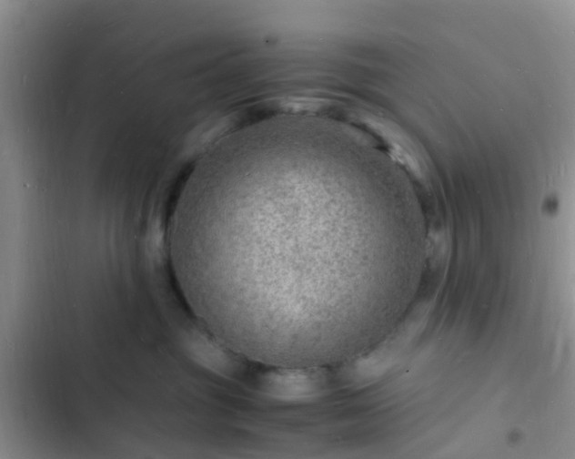 X0000102780381200808251121